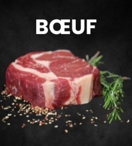 Bœuf
