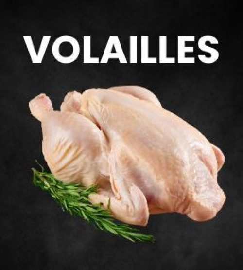 Volailles