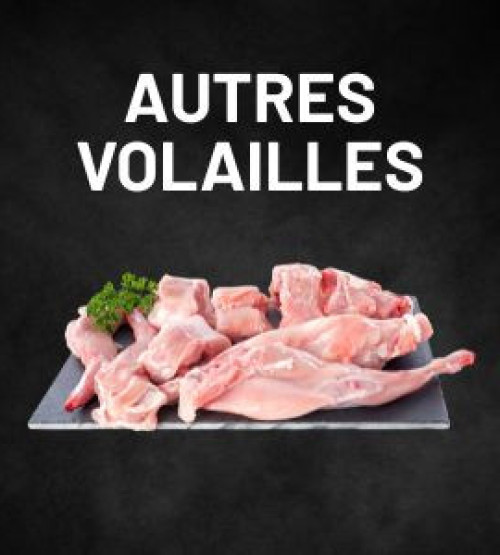 Autres volailles