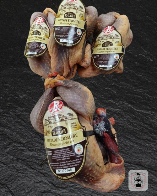 Pintade fermière