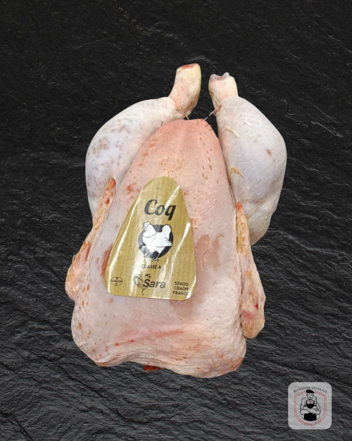 Coq